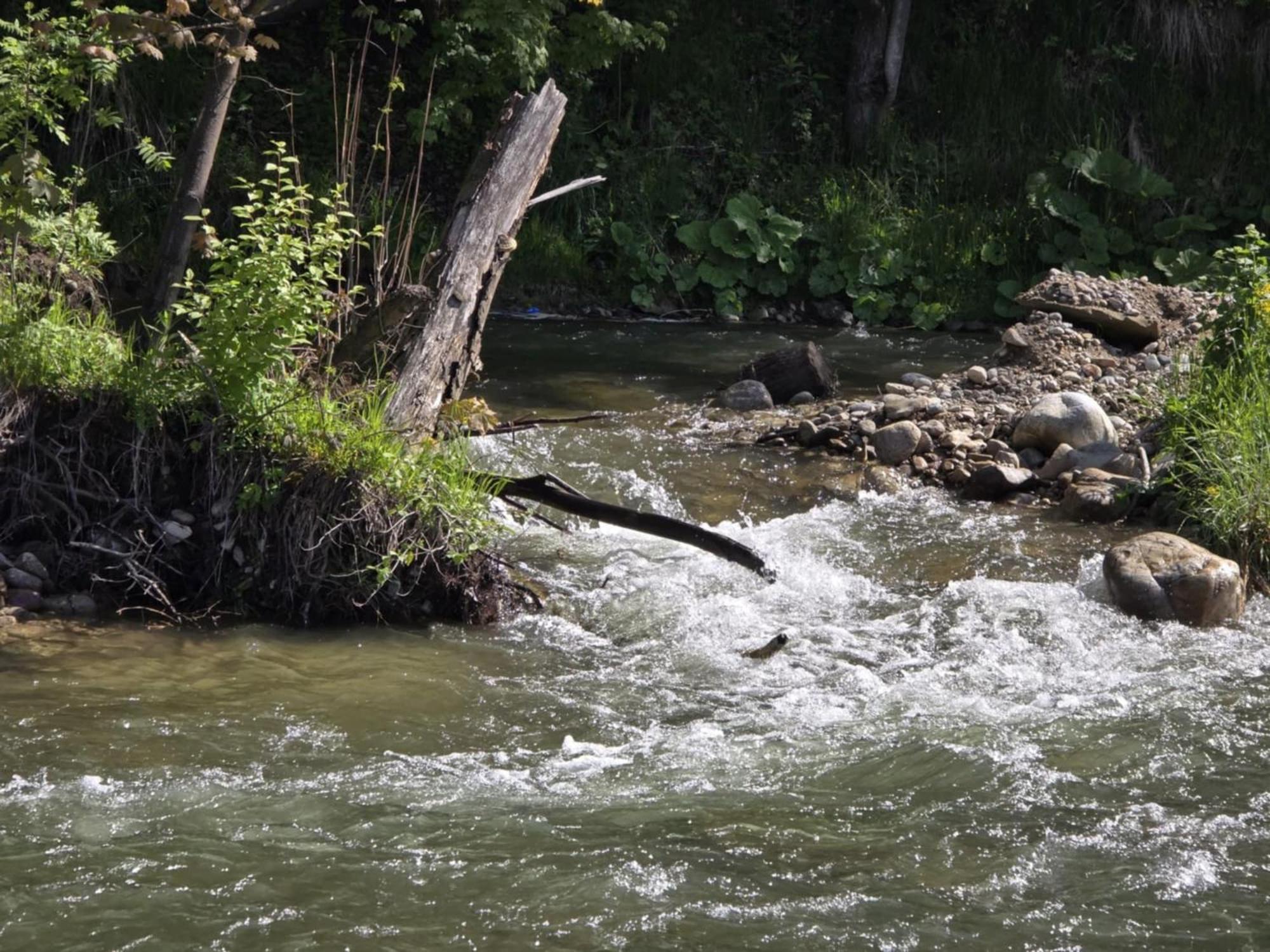 Chocholowska Zohylina Pokoje I Domek Buitenkant foto
